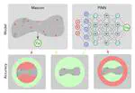 Investigating the Fusion of Mascon and Neural Networks Gravity Models